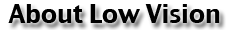 The Low Vision Clinic, Pensacola, Florida - Our Team